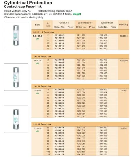 10X38 4A 25A 32A White Ceramic Gg Am Cylindrical Fuse Link